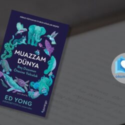 Muazzam Dünya: Beş Duyunun Ötesine Yolculuk